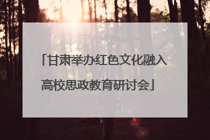 甘肃举办红色文化融入高校思政教育研讨会